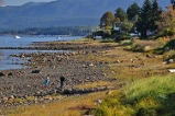 beach at low tide